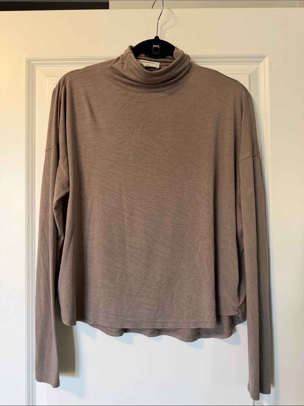 Babaton Seaton Turtleneck